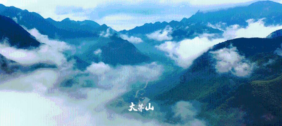 中餐厅之小凯厨神