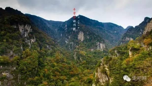 博主:泰山球员李海龙、胡靖航试训青岛海牛,已达共识即将签约