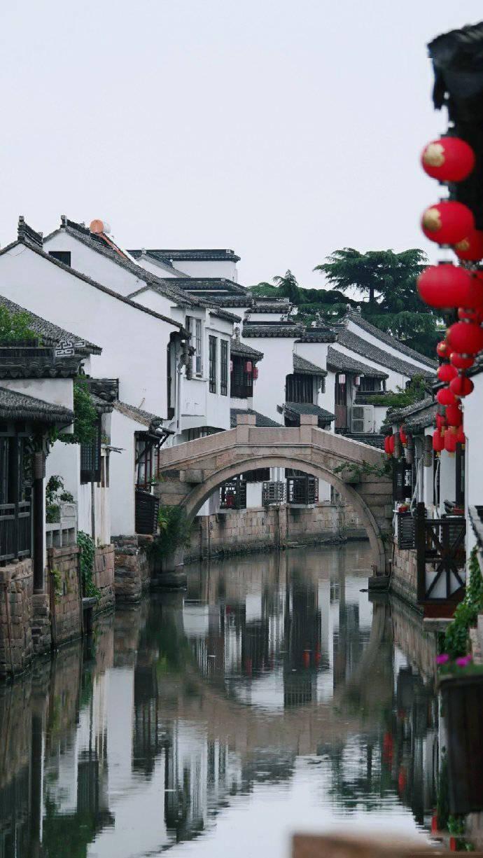 阴暗森林