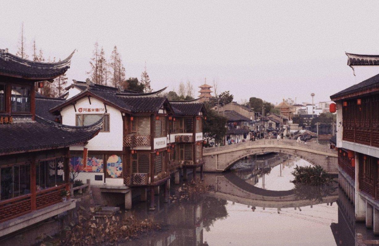 救援淘气的小狗