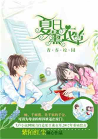 拿破仑：全面战争