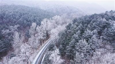 地铁：最后的曙光